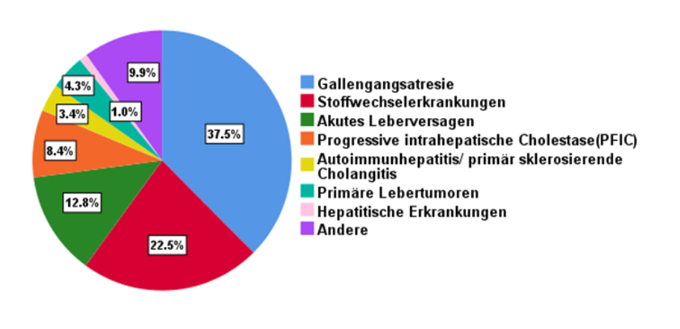 Indikationen zur Lebertransplantation bei Kindern und Jugendlichen an der MHH Kinderklinik 1972 – April 2020 (n=814)